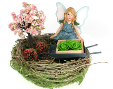 Mini Fairy Garden in Nest